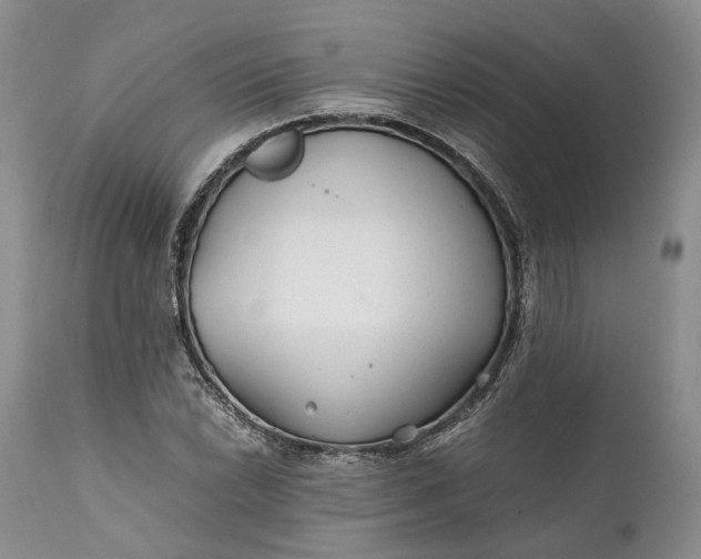 X0000110931022200907021518