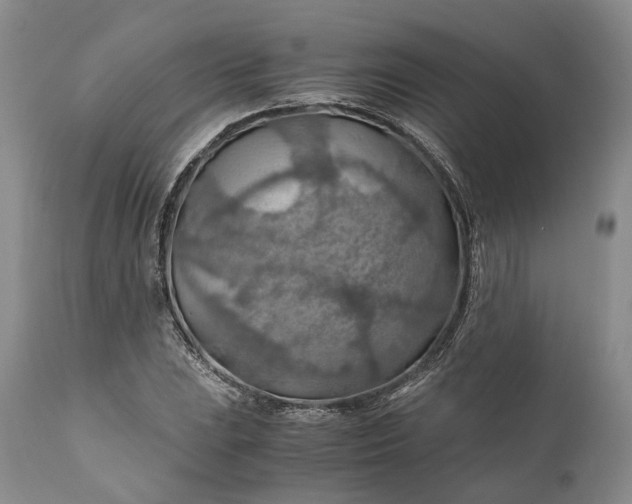 X0000110931023200907021518