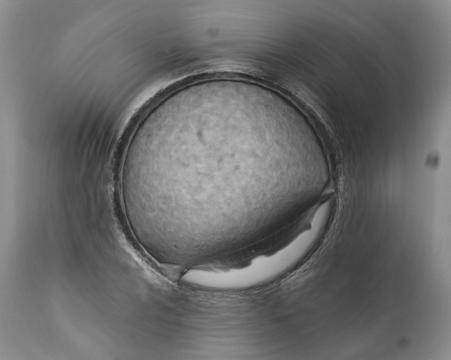 X0000110931024200907021518