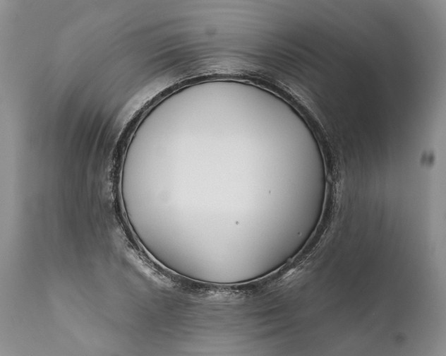 X0000110931026200907021518