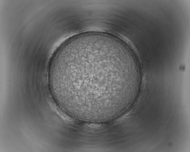 X0000110931027200907021518