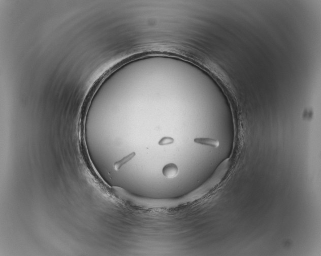 X0000110931028200907021518