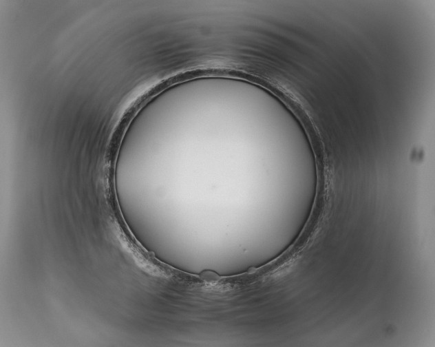 X0000110931029200907021518