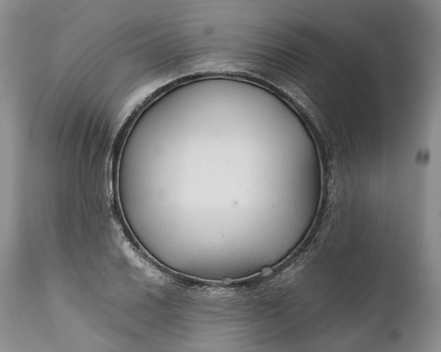 X0000110931030200907021518
