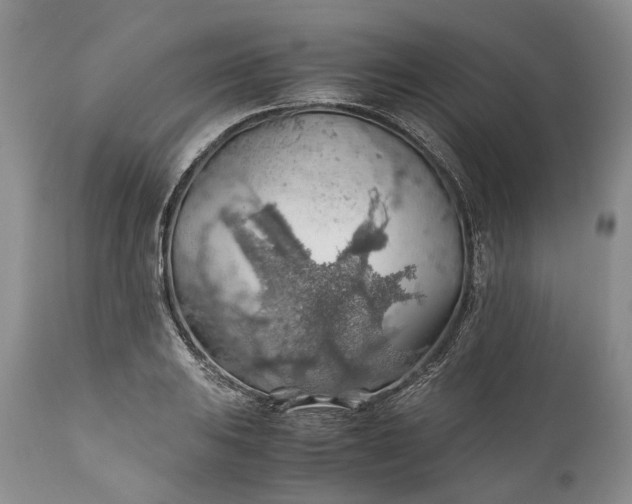 X0000110931031200907021518