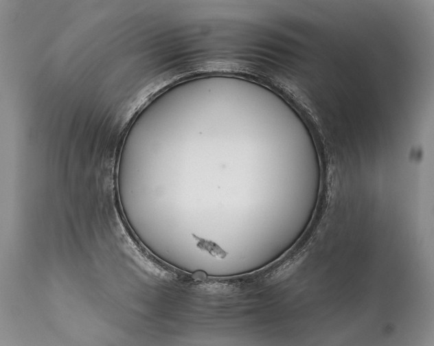 X0000110931033200907021518