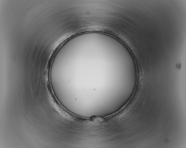 X0000110931034200907021518