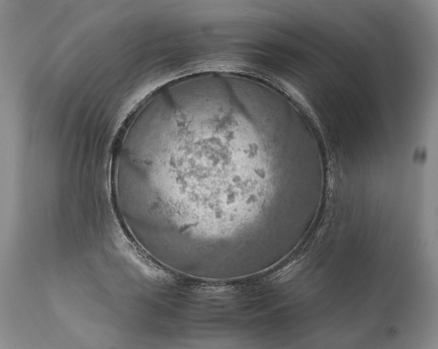 X0000110931035200907021518