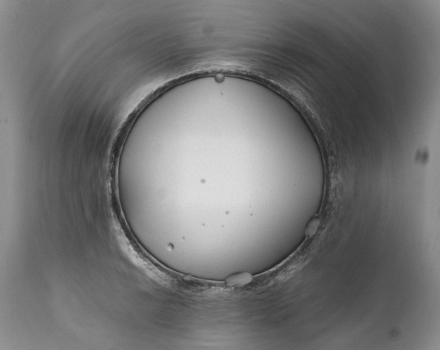X0000110931038200907021518