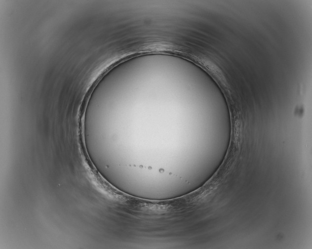 X0000110931039200907021518