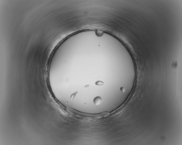 X0000110931040200907021518