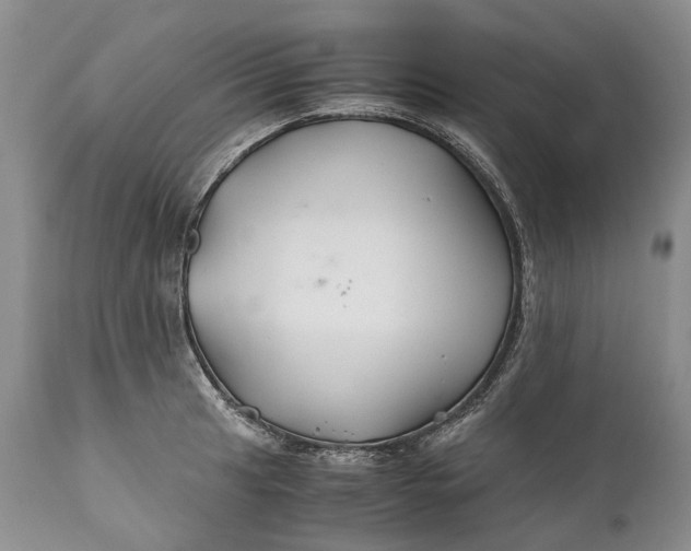 X0000110931041200907021518