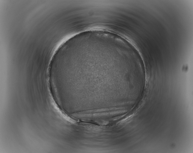 X0000110931045200907021518