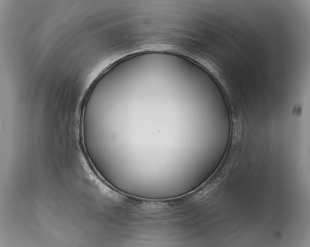 X0000110931046200907021518