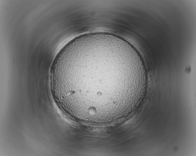 X0000110931047200907021518