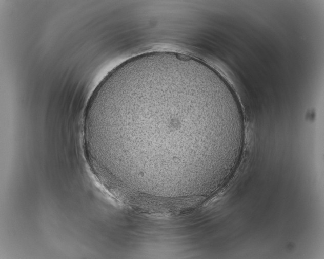 X0000110931048200907021518
