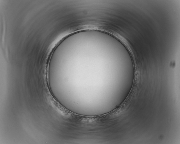X0000110931051200907021518