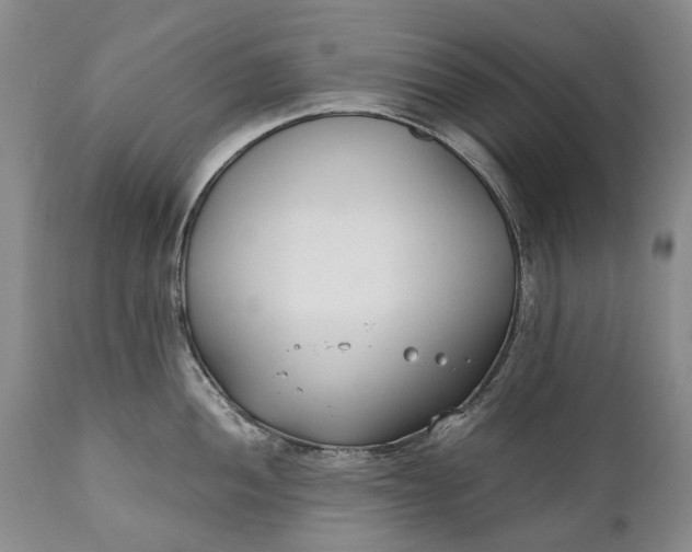 X0000110931052200907021518