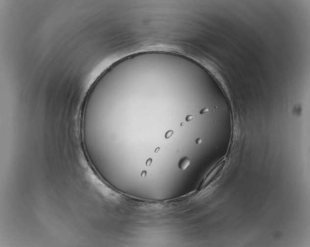 X0000110931054200907021518
