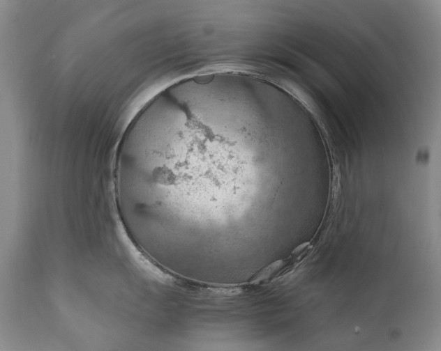 X0000110931055200907021518