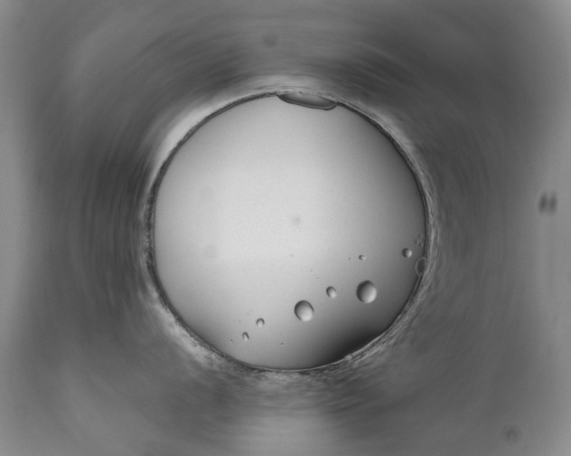 X0000110931056200907021518