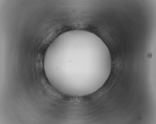 X0000110931058200907021518
