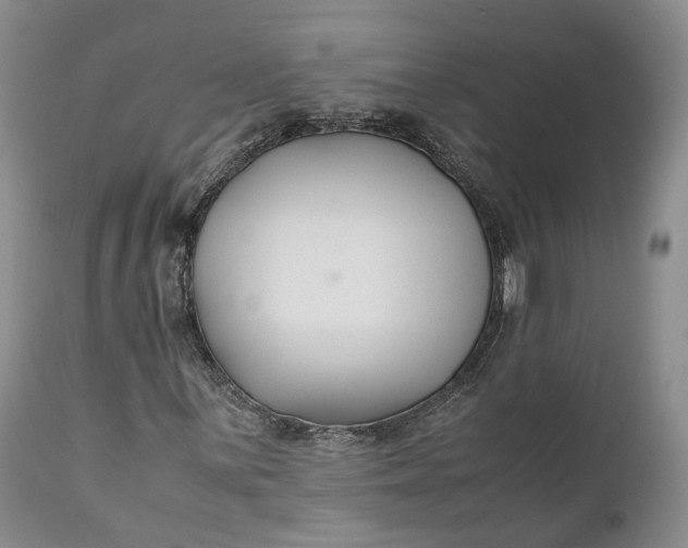 X0000110931059200907021518