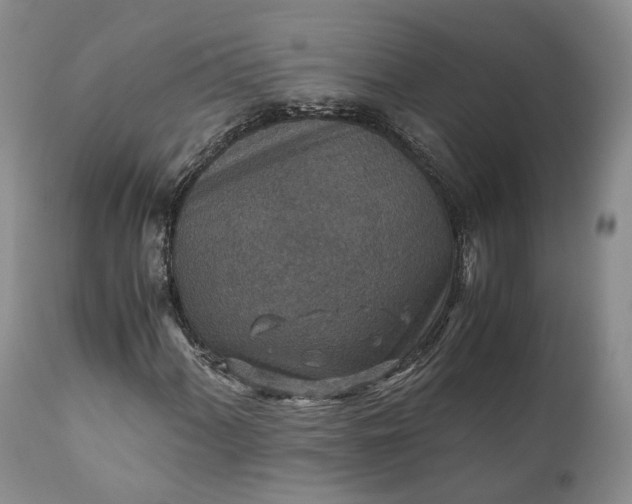 X0000110931060200907021518