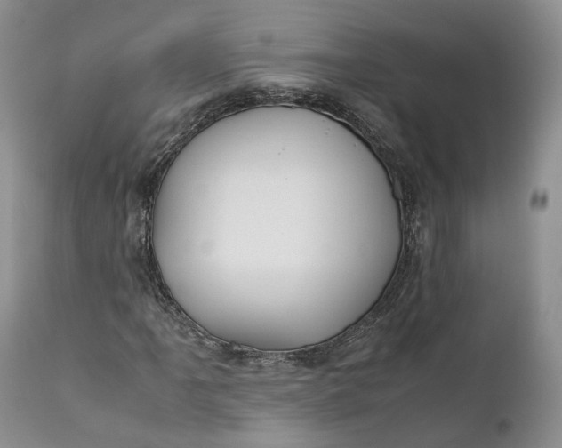 X0000110931061200907021518
