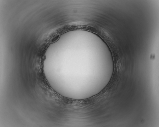 X0000110931062200907021518