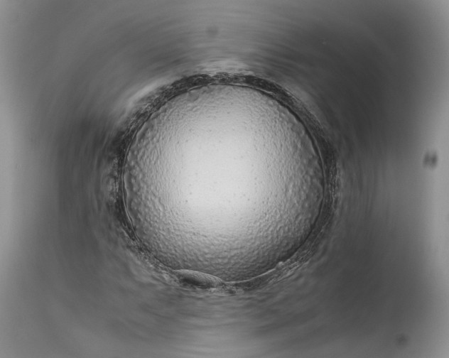 X0000110931063200907021518