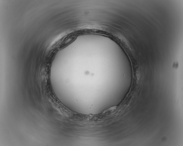 X0000110931064200907021518