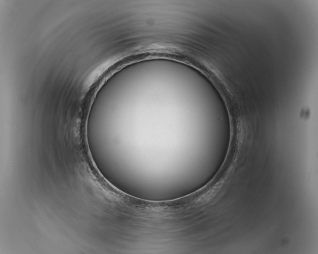 X0000110931066200907021517