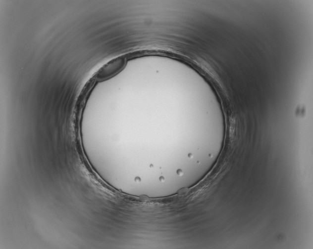 X0000110931068200907021517