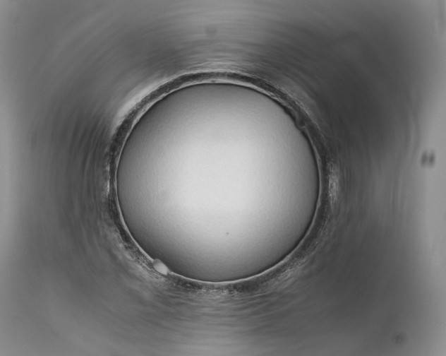 X0000110931069200907021517