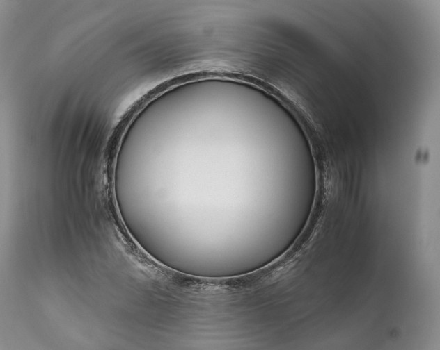 X0000110931070200907021517