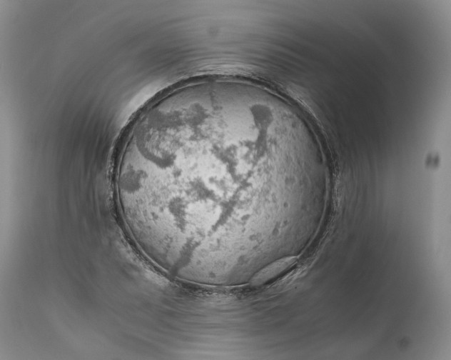 X0000110931071200907021517