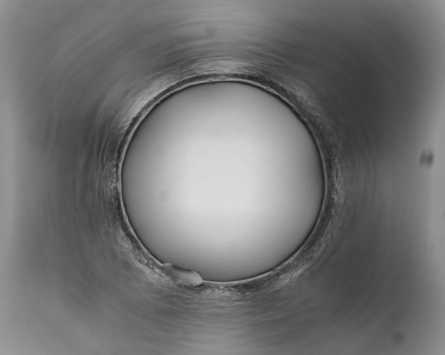 X0000110931073200907021517