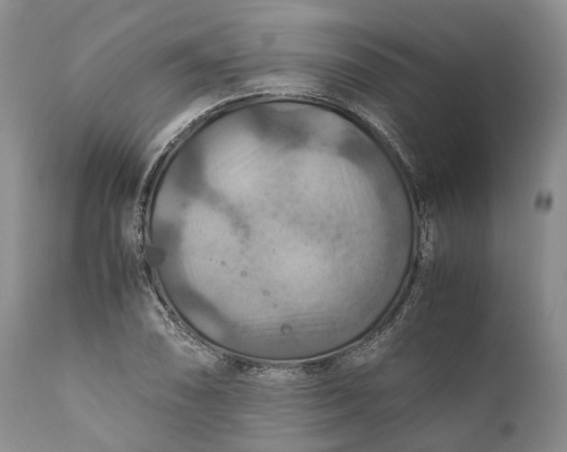 X0000110931074200907021517