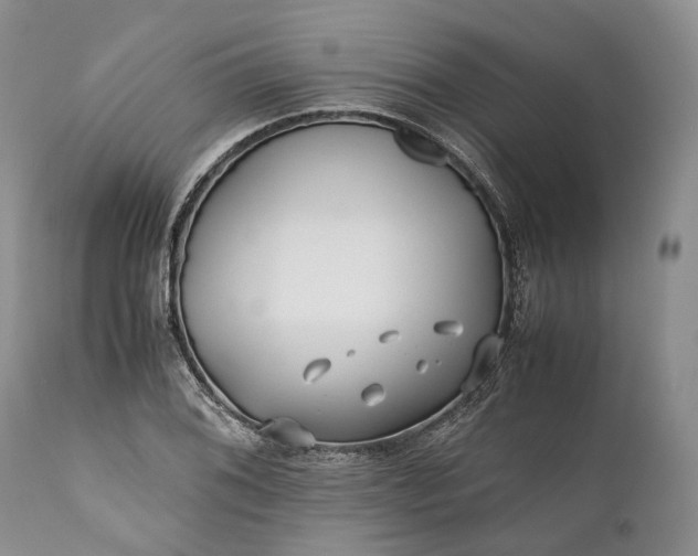 X0000110931076200907021517