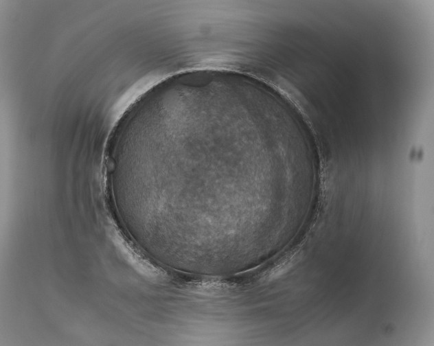 X0000110931077200907021517