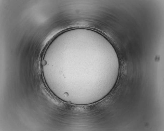 X0000110931078200907021517