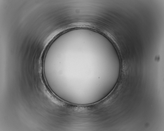X0000110931082200907021517
