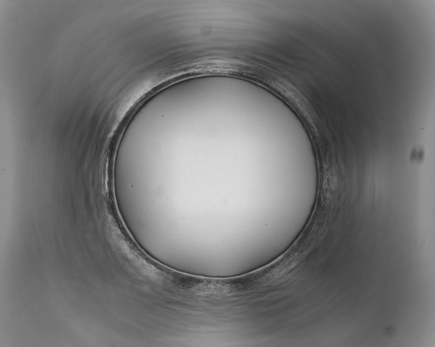 X0000110931083200907021517