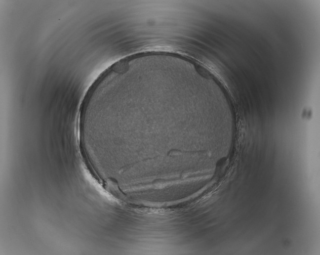 X0000110931084200907021517