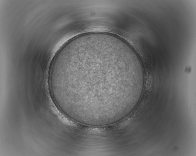 X0000110931086200907021517