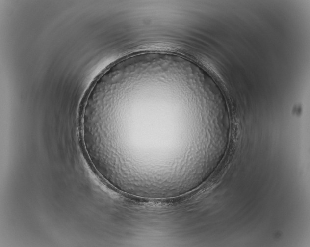 X0000110931087200907021517