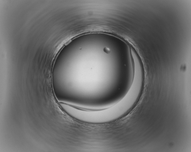 X0000110931089200907021517