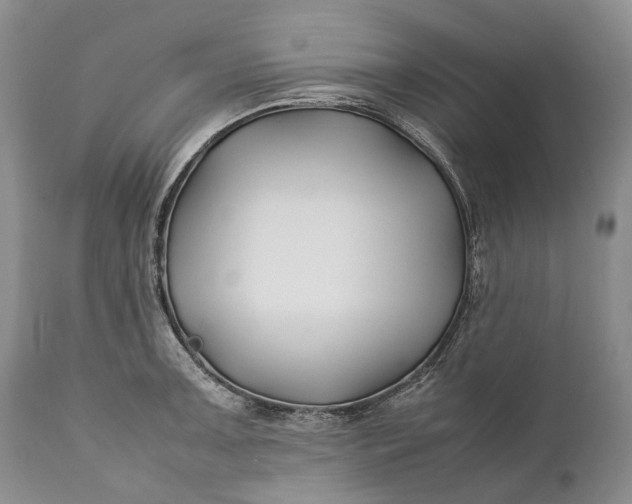 X0000110931091200907021517