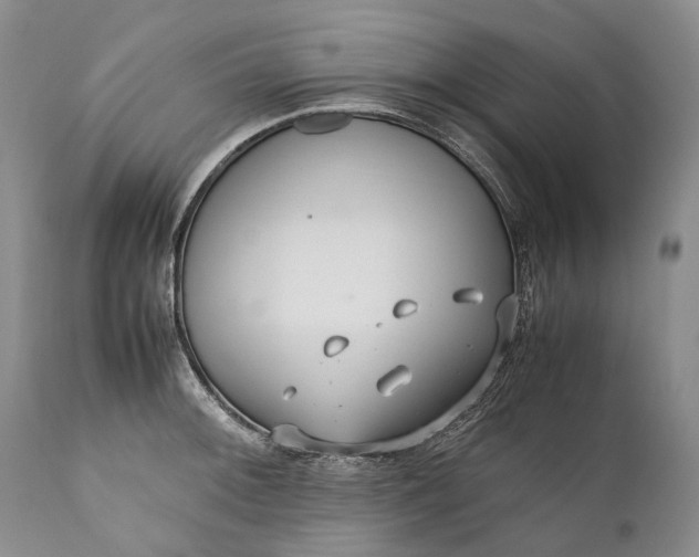 X0000110931092200907021517